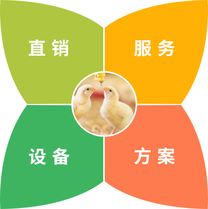 保发优势